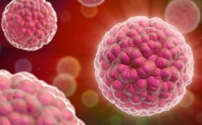 Simptomi in zdravljenje humanega papiloma virusa