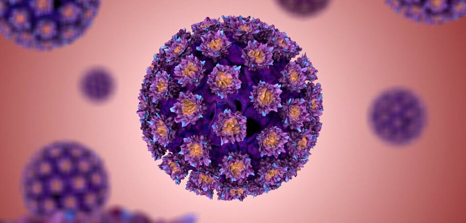 kako izgleda človeški papiloma virus